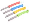 Tienda de 2 yuanes cuchillo de fruta de acero inoxidable cuchillo para cortar carne de picnic cuchillo herramienta de cocina multifunción cuchillo boutique de supermercado