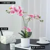 Planta em Vaso de Orquídea Phalaenopsis Simulada Produto Acabado Decoração de Mesa Interna Flor Artificial Orquídea Phalaenopsis Vaso Cilíndrico Branco Ornamento
