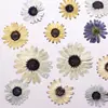Flores Secas Sudafricanas de Colores, Flores Prensadas, Materiales para Manualidades, Espécimenes de Flores Naturales Reales, Marcadores de Libro de Resina, Materiales Hechos a Mano
