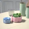 Caixa de armazenamento de garra de gato de resina DIY feita à mão Molde de silicone Urso de garra de gesso Vaso de planta carnuda Vaso de flores de cimento Molde de bolo