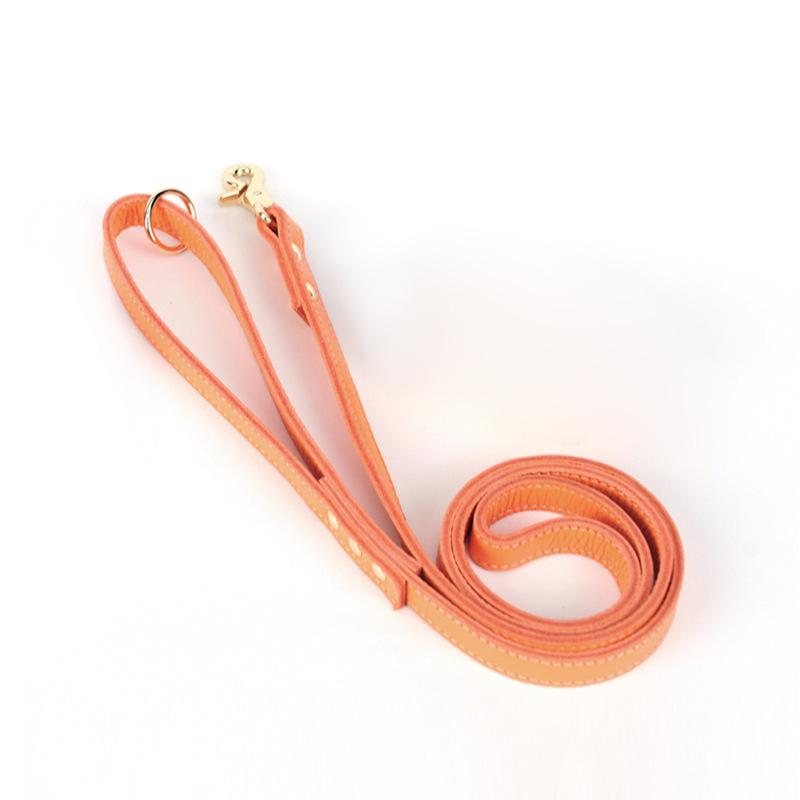 561222ae-134d-49f0-914f-d28183