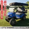 Carrito de golf, parque del aeropuerto, recorrido por zona escénica, recepción, transporte todoterreno, vehículo eléctrico de turismo, carrito de golf