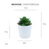 Set de Bonsái de Suculentas de Plástico Mini en Stock, Suculenta Artificial Creativa de Amazon, Flor Artificial Transfronteriza Planta en Maceta Pequeña