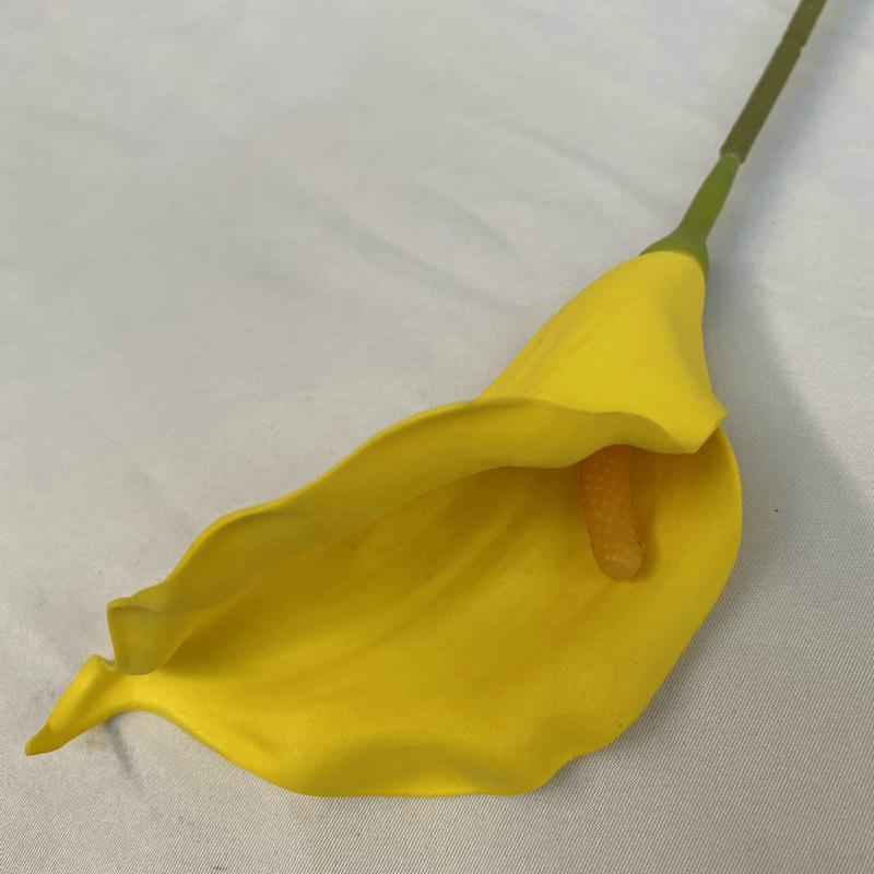 小只嫩黄色.JPG