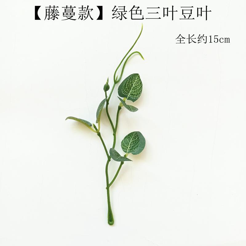 【藤蔓款】绿色三叶豆叶.jpeg