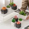 Macetas de Cerámica Modernas Simples para Suculentas Adornos Creativos Transfronterizos Jarrones Pequeños Sala de Estar Hogar Escritorio Plantas Verdes Plantas Pequeñas en Maceta