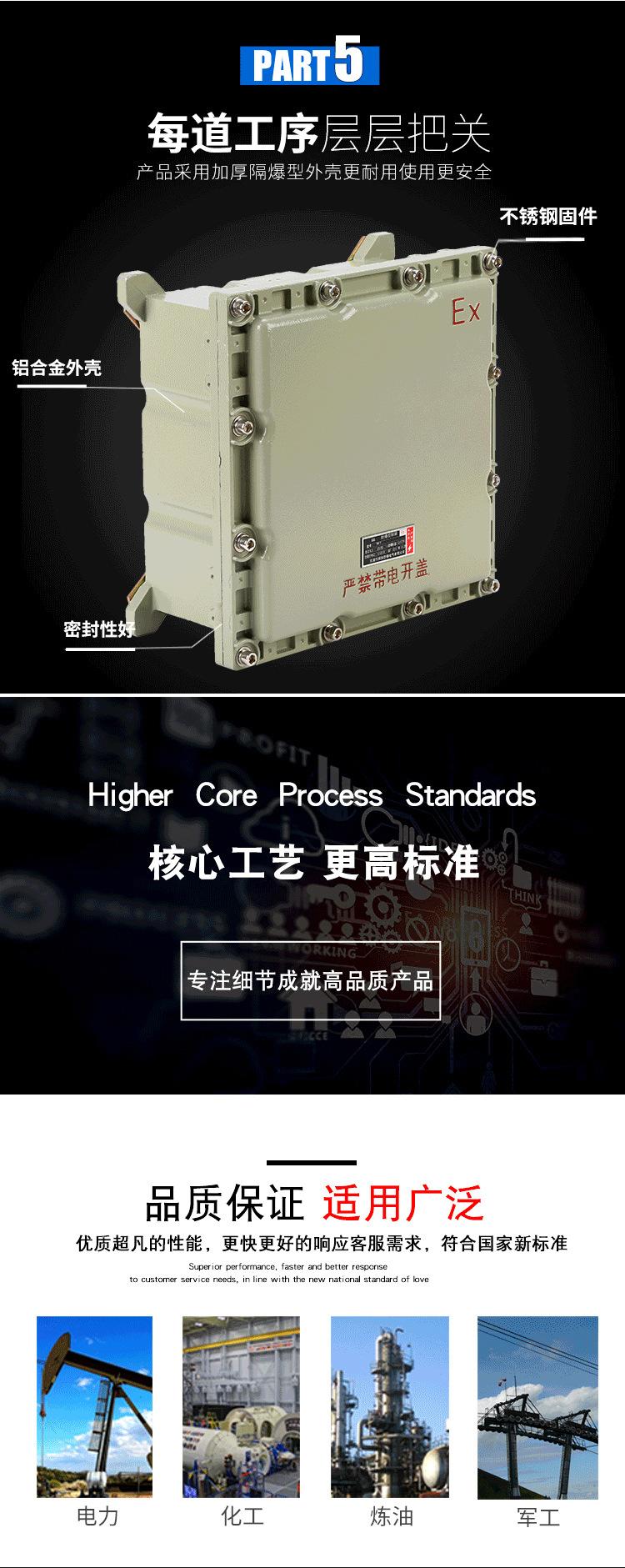 防爆箱-隔爆箱-尺寸300x300x150_07