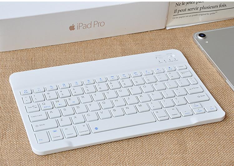 19781456276_485900497