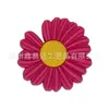 Nova Série de Frutas Desenho Animado da Amazon Calçados Fofos tipo Tamanco Fivelas de Flor para Sapatos Acessórios Pequenos DIY Removíveis