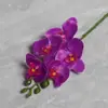Conjunto de 5 Flores Artificiais Borboleta Orquídea Filme Decoração Suave para Casa de Alto Padrão Adereços Florais para Fotografia de Casamento Atacado de Flores Artificiais Transfronteiriço