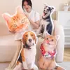 Almohada de Gato Feo Personalizada con Impresión de Foto, Directo del Fabricante, Almohada para Mascotas al por Mayor, Cojín de Gato y Perro Realista Personalización