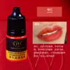 Amostra de Cor Bordado Wanjia 3ml Corante Vegetal para Sobrancelha, Olho e Lábio Não Muda de Cor Sistema de Cor Auxiliar Cor de Sobrancelha Cinza Escuro