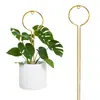 Soporte de Flores Trepadoras Transfronterizo Soporte Creativo para Flores Soporte Fijo de Metal para Plantas con Flores Soporte para Enredaderas Florales Amazon