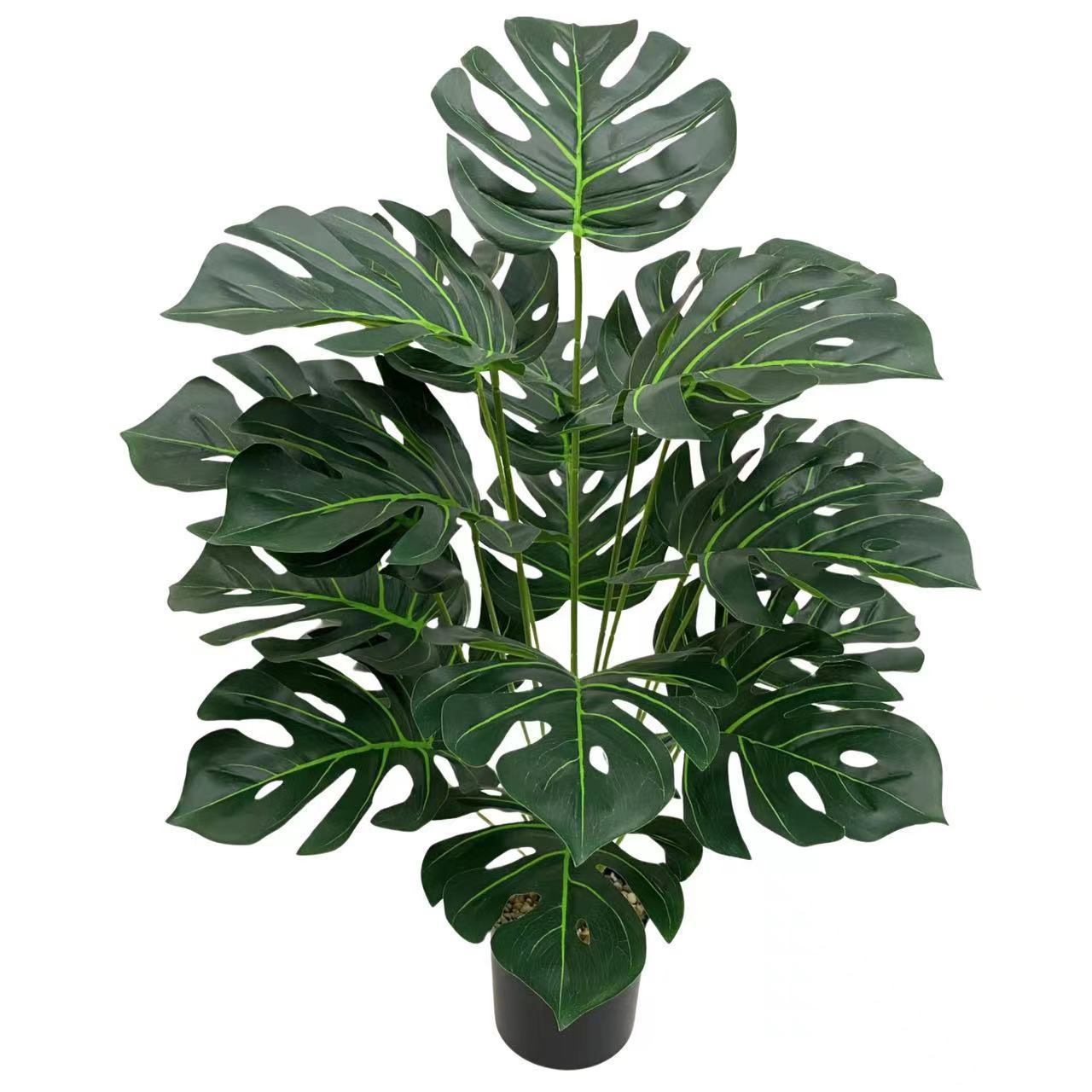 微信图片_20240508000512