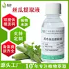 Fabricante Original de Extrato Líquido de Bucha Vegetal, Matéria-Prima para Cosméticos de Origem Vegetal e Produtos para Cuidados com a Pele, Extrato de Bucha Vegetal 1kg