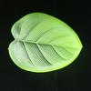 Nuevo posavasos de hoja de espuma EVA verde simulación impermeable para selva tropical al aire libre, aislamiento térmico, anti-quemaduras, ventas directas de fábrica