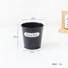 Cachepô de Ferro Suculenta Casual Pequeno Vaso de Flores Decoração para Casa Varanda Planta Verde Jardinagem Criativo Micro Paisagem Balde de Ferro Suculenta