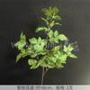 Plantas Artificiales Verdes, Decoración de Salón de Bodas Estilo Bosque, Flores Falsas, Flores Artificiales para Bodas, Plantas de Hojas Artificiales, Pared de Flores