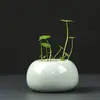 Maceta Pequeña Hidropónica de Cerámica con Esmalte Craquelado, Maceta para Flor de Centella Asiática, Contenedor de Estilo Fresco, Maceta de Escritorio, Venta al por Mayor de Fábrica de Alta Gama
