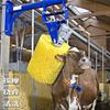 Cepillo corporal para ganado de columna vaca eléctrico automático anti-picazón frotar masajeador resistente al desgaste rascador artefacto área pastoral cepillo rodillo