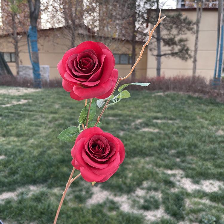 2头开心玫瑰-yxwmcx-酒红.JPG