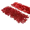 Relleno de Plata Rojo M37 Fila Juego Completo de Cuentas de Arroz, Cuentas Tubulares, Cuentas de Esquina, Cuentas Sueltas, Joyería Hecha a Mano para Bricolaje, Accesorios para Ropa Cosidos a Mano