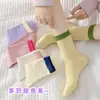 Calcetines calcetines de otoño e invierno para mujer calcetines de invierno calcetines para dama calcetines para hombre calcetines calcetines para mujer calcetines Zhuji al por mayor