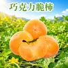 Caqui Crujiente de Chocolate de Shanxi, disponible para envío directo, crujiente, dulce, jugoso, fruta mediana-grande, 3 libras 2.5 kg Fruta fresca de temporada