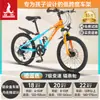 Bicicleta Infantil Phoenix para Niñas de 6-12-15 Años, Adolescentes, Niños Mayores, Bicicleta de Montaña con Cambios para Estudiantes