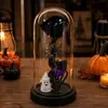 Adorno de Flor Preservada en Cúpula de Vidrio para Halloween Rosa Calavera Araña Luz Decorativa Transfronterizo Vacaciones Mesa Ambiente Fiesta