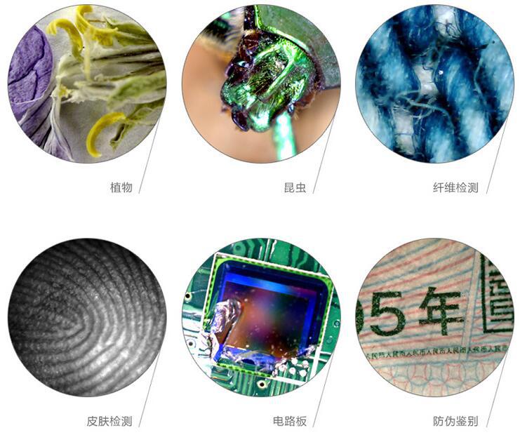 QQ图片20181024095932