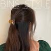 Horquilla de flequillo de ácido acético de alta textura estilo coreano para mujer, nueva cola de caballo alta para celebridades de Internet, accesorios para el cabello con agarre pequeño, pinza de tiburón pequeña