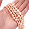 Materiais para Colar e Pulseira de Pérolas de Água Doce com Furo Reto Naturais, Brincos DIY Feitos à Mão, Pulseiras, Contas Soltas, Acessórios para Joias