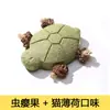 Juguete para Gatos Tortuga Palo de Cepillo de Dientes de Madera, Palo Limpiador de Dientes de Tortuga Realista, Juguete de Autoentretenimiento, Palo Creativo Tira-Gatos Tortuga
