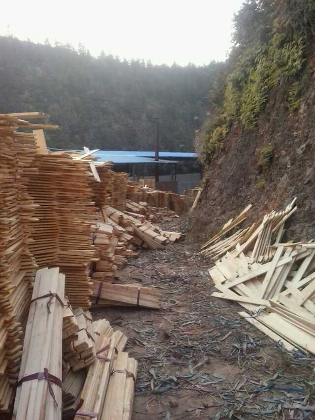 mmexport1507474920478