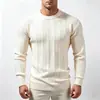Suéter de Jacquard con Rayas Verticales Estilo Europeo y Americano para Hombre Otoño e Invierno Cuello Redondo Moda Punto Tejido Color Sólido Casual Capa Base Tejido Pulóver