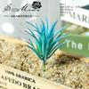 014 Série Azul Cabeça de Flor Suculenta Acessórios Criativos DIY Arranjo de Flores Suprimentos para Parede de Plantas Plantas Verdes Artificiais