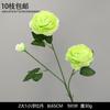 Decoración de Flores Artificiales Verdes Material de Flores de Hoja de Manzana Flor Exterior Planta Verde Hermoso Arreglo Chen Simulación de Hoja de Tortuga Arte Floral para Boda