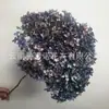Flor Preservada Haste Única Hortênsia Anna Anna Folha Pequena Bella 40 Cores Personalizado Atacado Presente Dia dos Professores