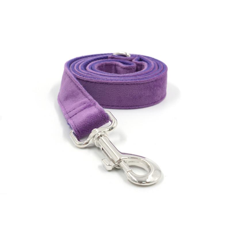 可定制颜色刻字宠物牵引绳  亚马逊跨境遛狗绳宠物用品狗狗牵引