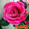 Rosa Artificial Flor Falsa Enredadera Flor Artificial Arco de Boda Techo Interior Bloqueo Tubería Aire Acondicionado Envuelto Planta Verde Venta al Mayoreo