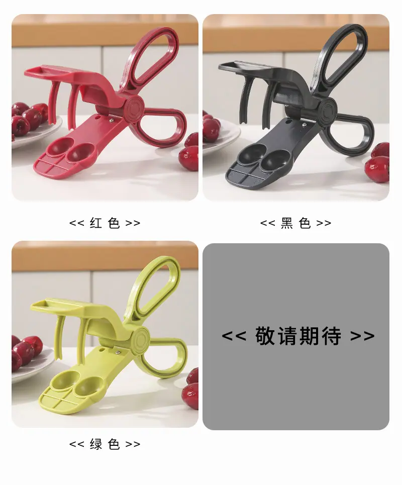 樱桃去核器_13
