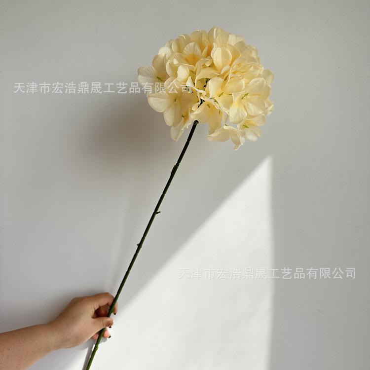 微信图片_202303081754099_副本