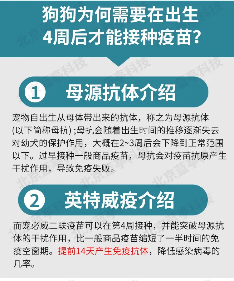 多格多英特威水印_08.jpg