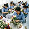 Kit de Materiales Secos para Manualidades de Flor Seca Más Vendido Transfronterizo, Paquete Mixto de Flores Preservadas de Amazon, Dropshipping