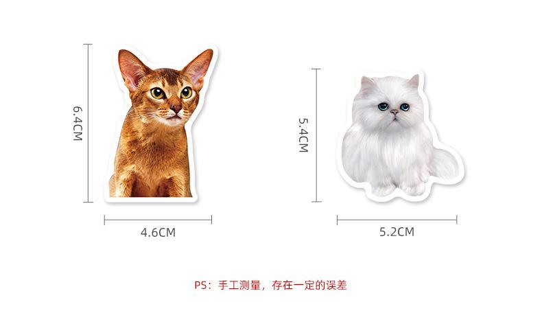 详情页_03.jpg