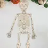 Adornos de Calavera de Halloween para Nuevo Producto Transfronterizo Articulaciones de Esqueleto Humano 90cm Artesanía de Madera DIY Materiales Didácticos Hechos a Mano