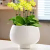 Maceta de Cerámica con Plato para Uso en el Hogar, Exquisita Estilo Ins Blanco Lujo Ligero Minimalista Estilo Crema Maceta para Orquídeas Suculentas