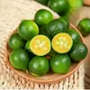 Tienda de té de leche de kumquat pequeño de Hainan limones verdes pequeños de piel fina, kumquats verdes ácidos, frutas de temporada al por mayor por caja