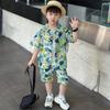 Camisa Floral Havaiana de Verão para Meninos Conjunto de Manga Curta para Férias na Praia Camisa Estilosa Roupa Infantil para Viagem à Ilha Sanya